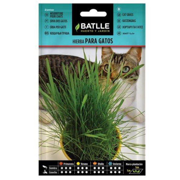 Hierba para gatos sobre 10grm.                    