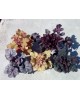 Heuchera mix 2lt                                  