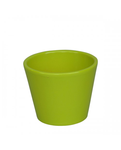 Vaso cactus 7x7cm verde                           