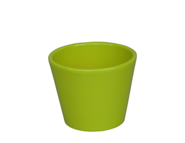 Vaso cactus 9x9cm verde                           