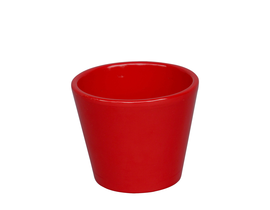 Vaso cactus 7x7cm rojo                            