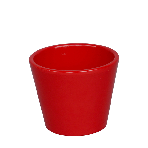 Vaso cactus 7x7cm rojo                            