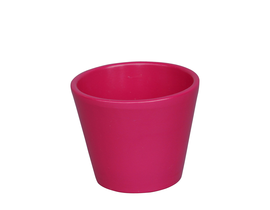 Vaso cactus 9x9 fucsia                            