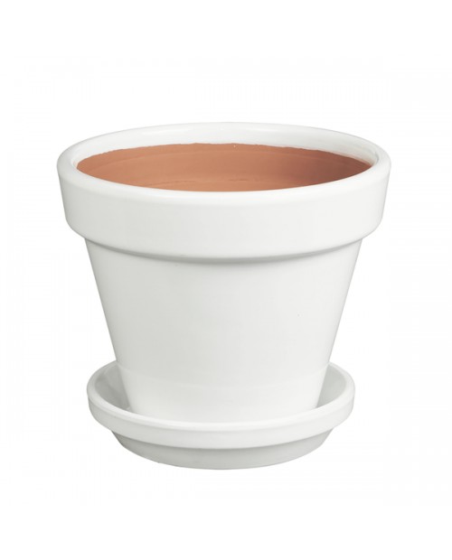 Plato standard 22x5cm blanco                      