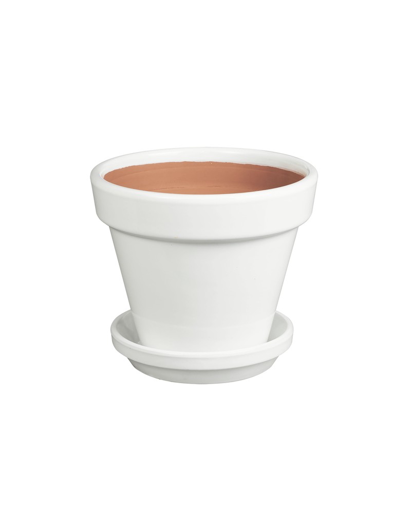 Plato standard 22x5cm blanco                      