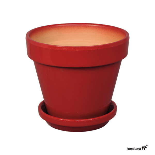 Plato Standard 15x5 Rojo                          