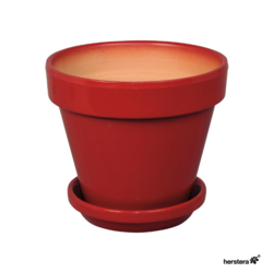 Plato Standard 15x5 Rojo                          