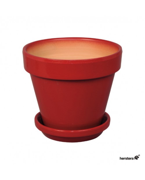 Plato Standard 15x5 Rojo                          