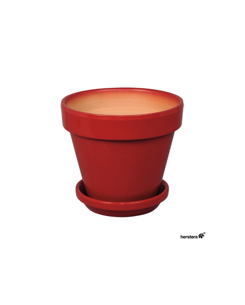 Plato Standard 15x5 Rojo                          