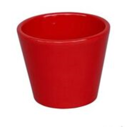 Vaso cactus 9x9cm rojo                            