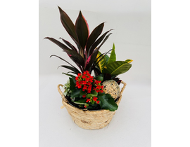 Centro zinc cuerda con asas Ø25                   