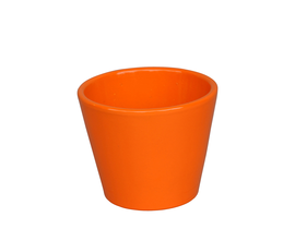 Vaso cactus 7x7cm naranja                         