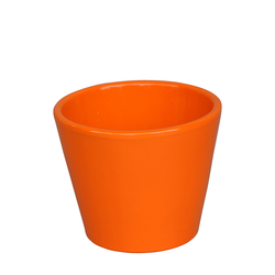 Vaso cactus 7x7cm naranja                         