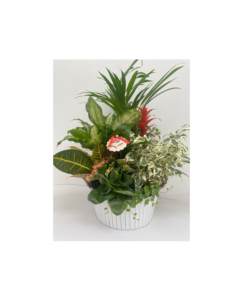 Centro zinc redondo 30Ø                           