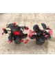 Begonia viking m17                                