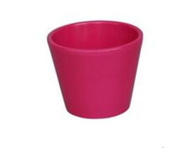 Vaso cactus 7x7cm fucsia                          