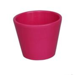 Vaso cactus 7x7cm fucsia                          