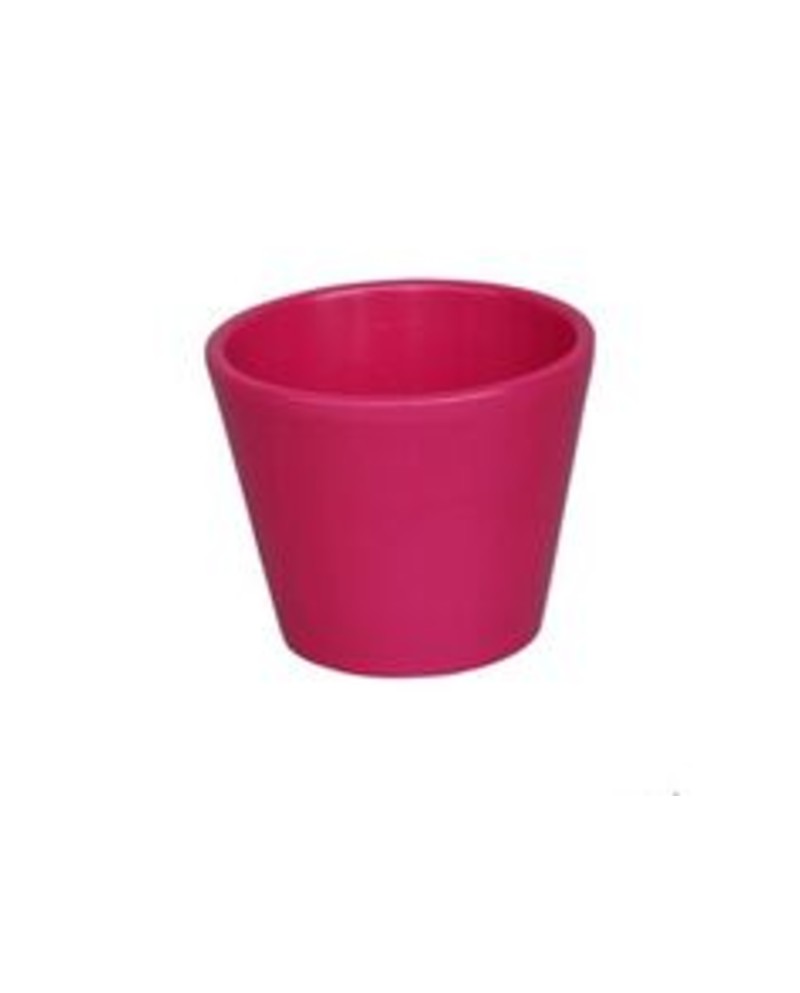 Vaso cactus 7x7cm fucsia                          