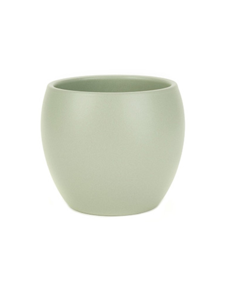 Macetero coco 16x13cm verde                       