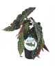 Begonia maculata wightii m14                      