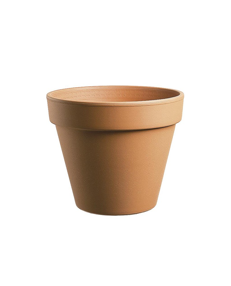Maceta barro Ø21                                  