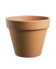 Maceta barro Ø31                                  