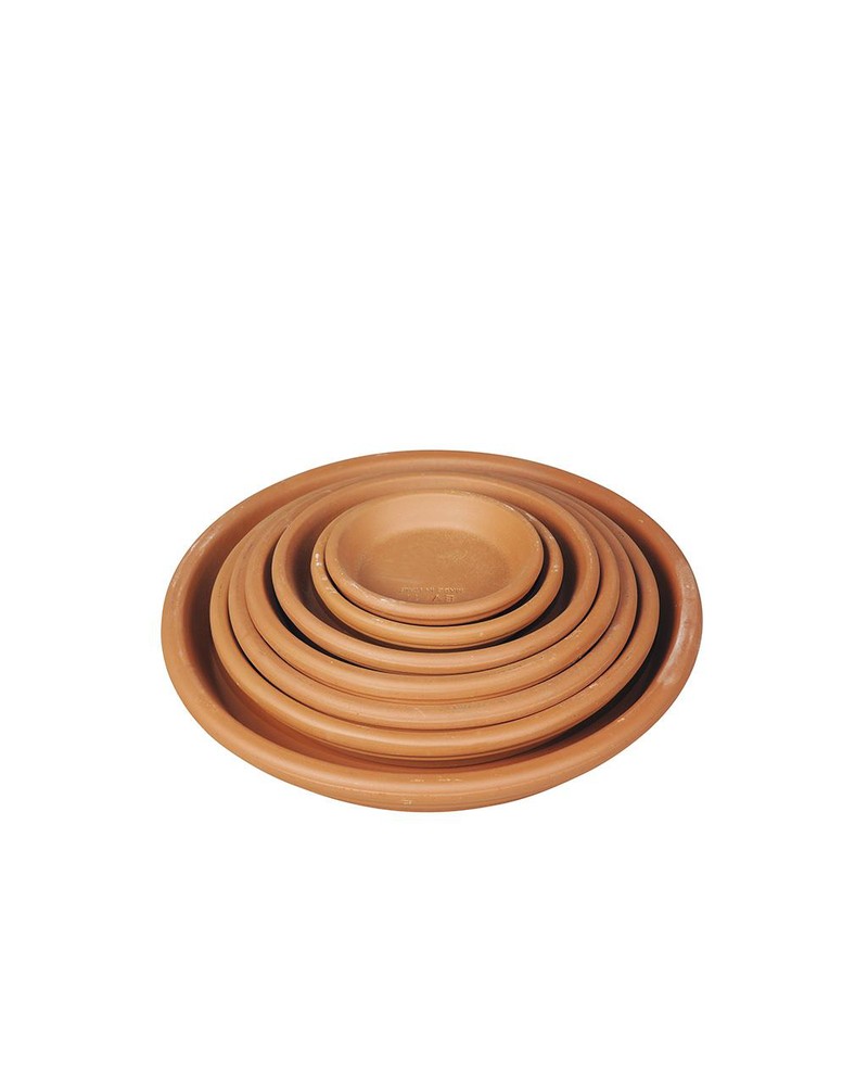 Plato barro Ø15                                   