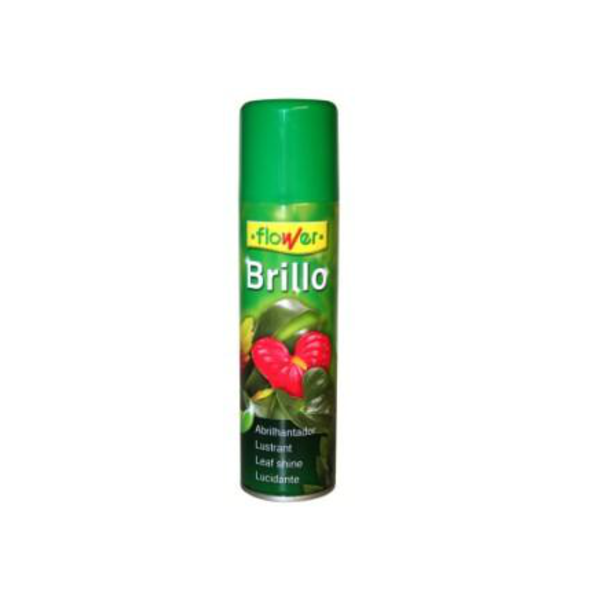 Brillo premium 800cc antialergenico               