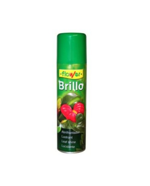 Brillo premium 800cc antialergenico               