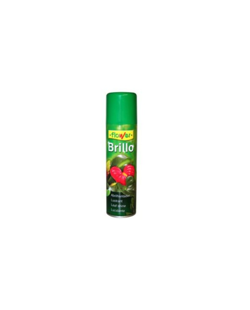 Brillo premium 800cc antialergenico               