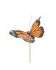Pick mariposa atalanta 9cm palo de 50cm naranja   