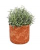Macetero dagi 20x18cm terracota                   