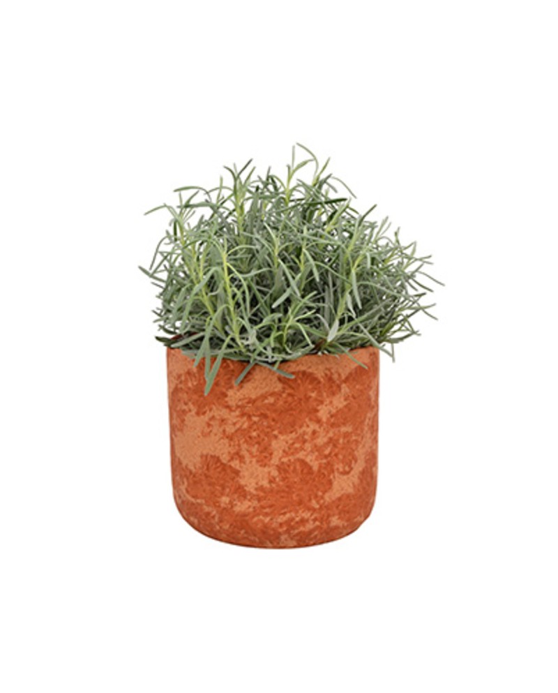 Macetero dagi 20x18cm terracota                   