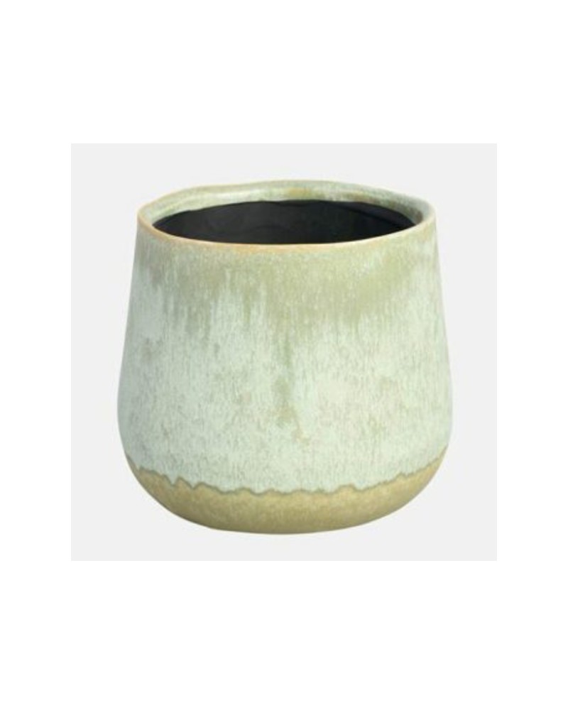 Erma cactus 1 9x8cm verde                         