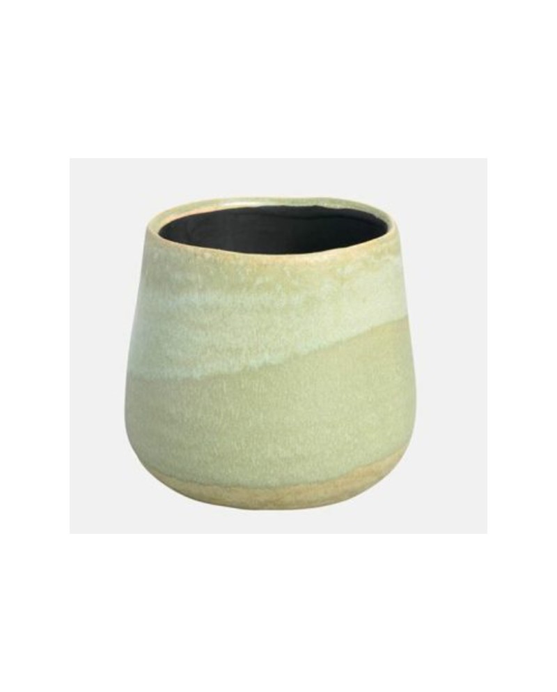 Erma cactus 4 9x8cm verde                         