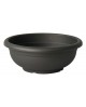 Cuenco olimpo 50x19cm antracita                   