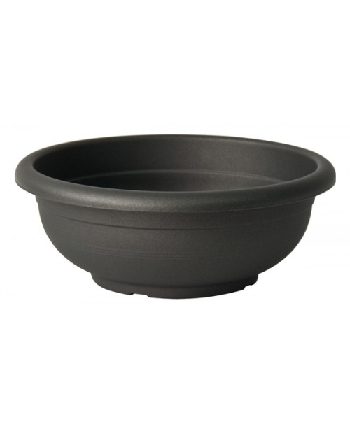 Cuenco olimpo 50x19cm antracita                   