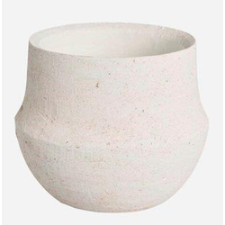 Clusia 17x14cm blanco                             