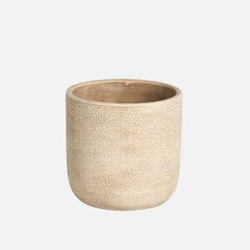 MIld 18x18cm crema                                