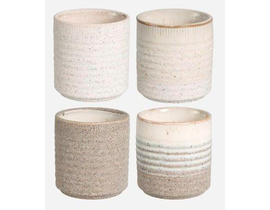 Cactus grol 7x8cm blanco                          