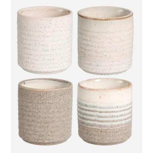 Cactus grol 7x8cm blanco                          