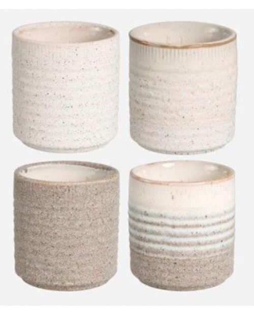 Cactus grol 7x8cm blanco                          