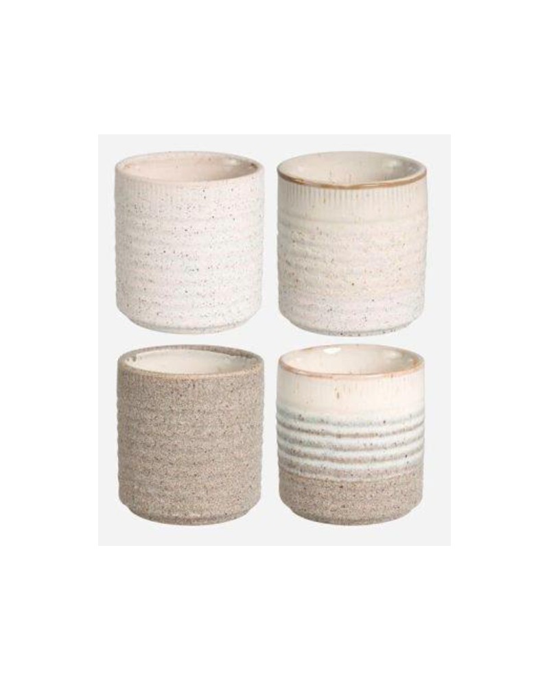 Cactus grol 7x8cm blanco                          