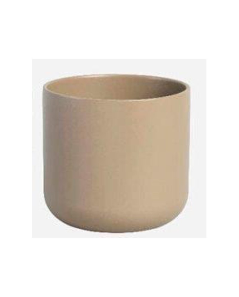 Cactus sita 7x7cm tostado                         