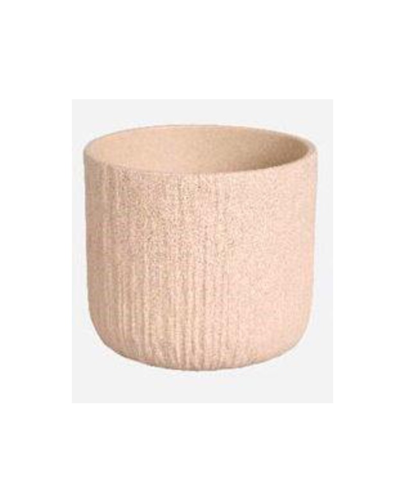 Cactus sita air 7x7cm arena                       