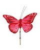 Pick mariposa 6x11cm palo 50cm                    