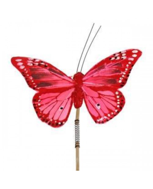 Pick mariposa 6x11cm palo 50cm                    