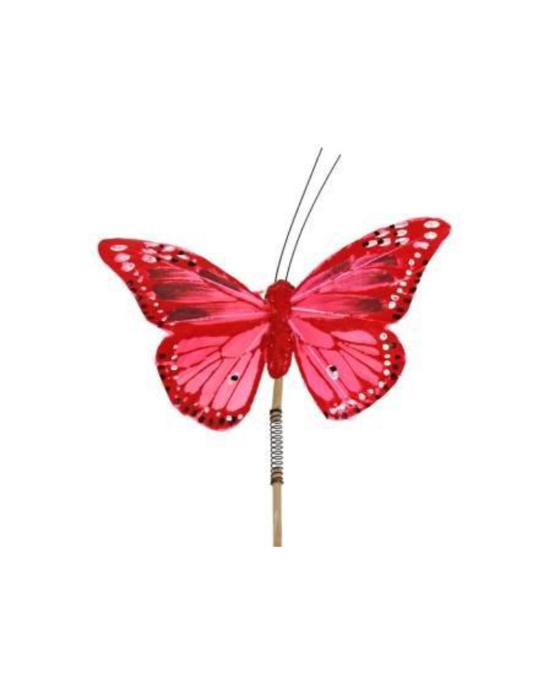 Pick mariposa 6x11cm palo 50cm                    