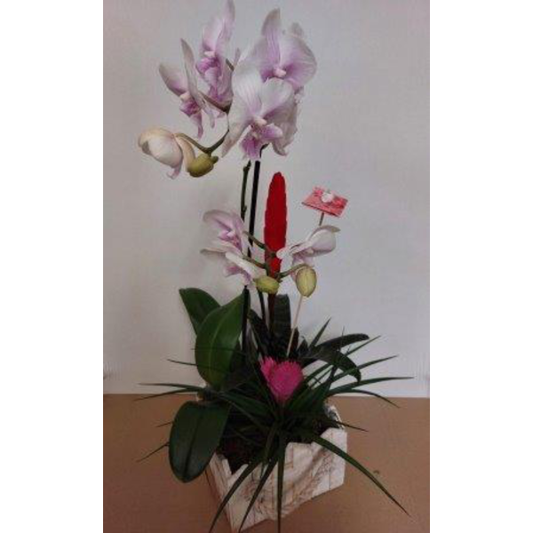 Centro madera con planta 20x20x13                 