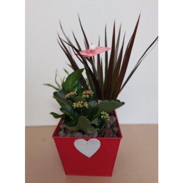 Centro zinc cuadrado corazon 15.5x15.5x13         